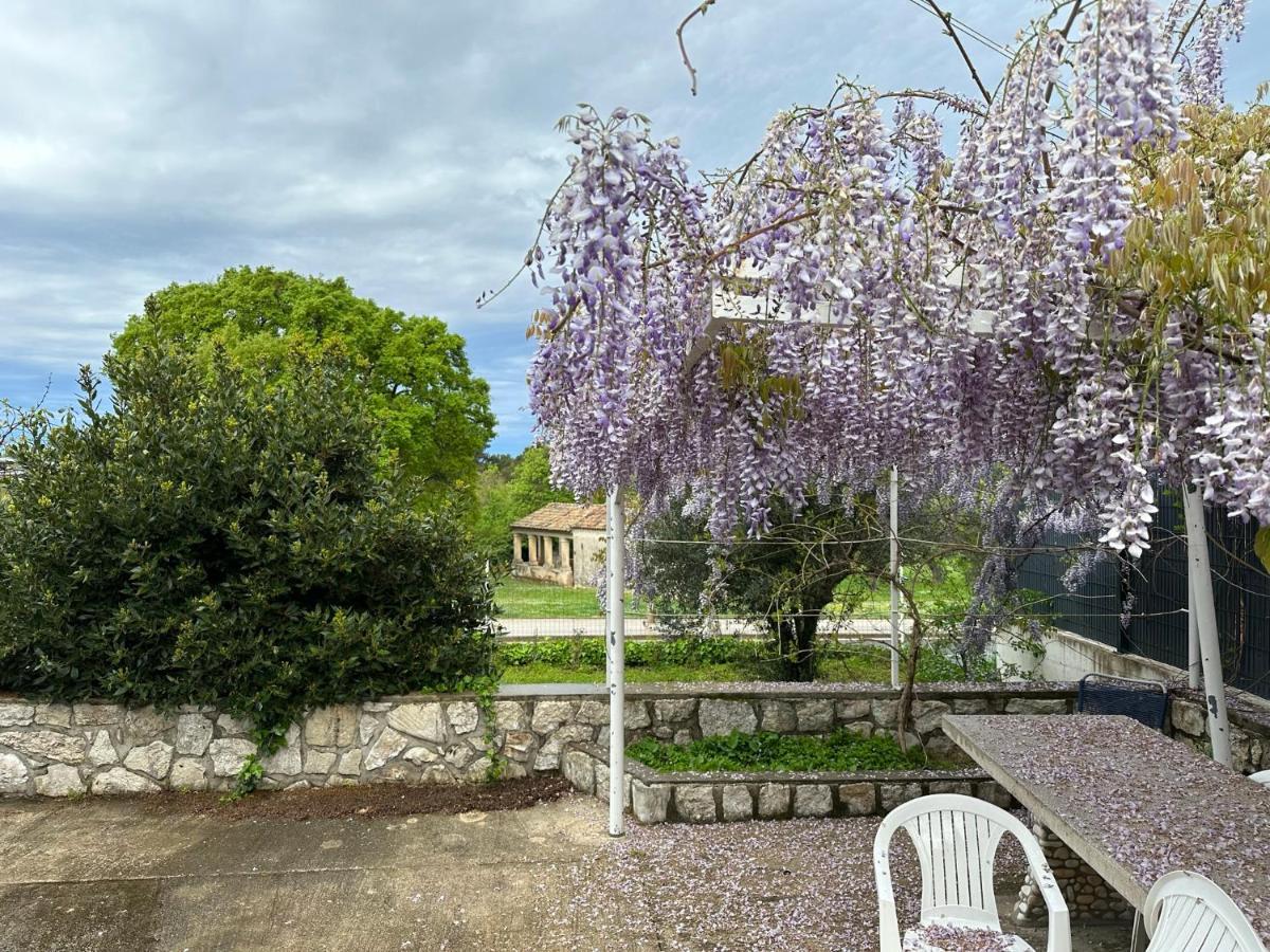 Vala Apartments Rovigno Esterno foto